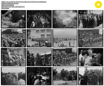 Weekly Review No. 232: Maori Battalion Returns剧照的剧照