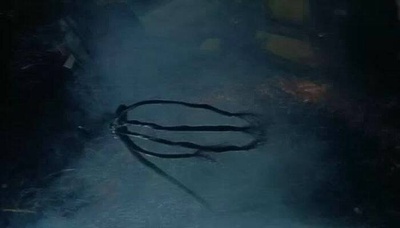 匹诺曹964号剧照的剧照