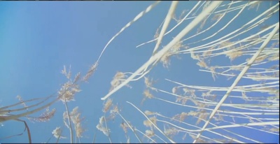 伊达的电影日记剧照的剧照