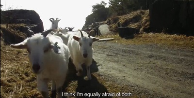 伊达的电影日记剧照的剧照