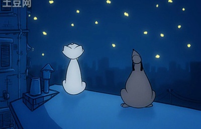 月朗星稀夜剧照的剧照