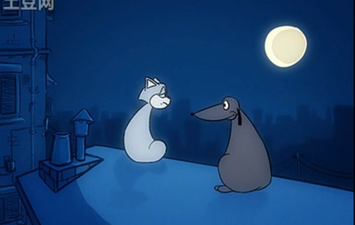 月朗星稀夜剧照的剧照