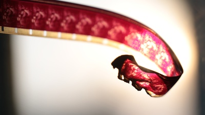 一个早春下午，一丝幽远记忆剧照的剧照