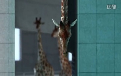 长颈鹿跳水大会剧照的剧照