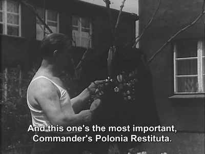 完成了552%产量指标的矿工剧照的剧照