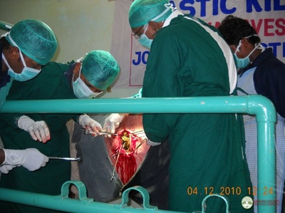 塑胶牛剧照的剧照