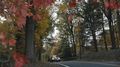 帕特诺剧照的剧照