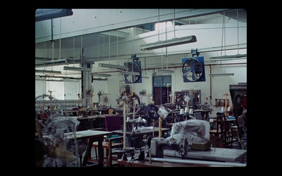 番石榴岛剧照的剧照