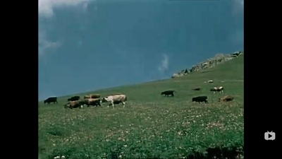 关于一朵花的歌剧照的剧照