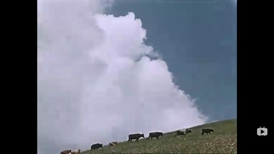 关于一朵花的歌剧照的剧照