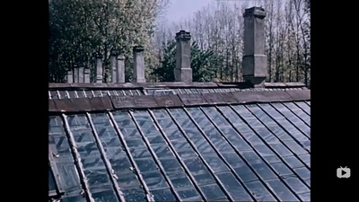 关于一朵花的歌剧照的剧照