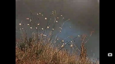 关于一朵花的歌剧照的剧照