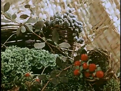 关于一朵花的歌剧照的剧照