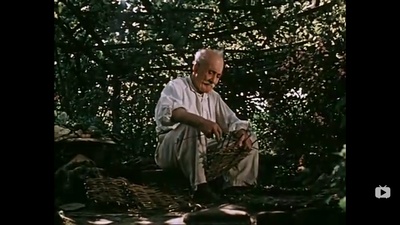 关于一朵花的歌剧照的剧照