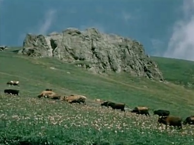 关于一朵花的歌剧照的剧照