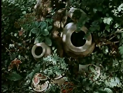 关于一朵花的歌剧照的剧照