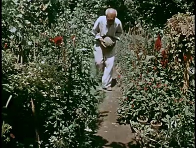 关于一朵花的歌剧照的剧照