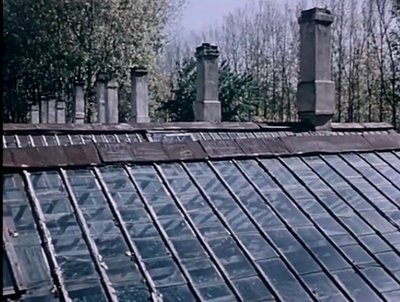 关于一朵花的歌剧照的剧照