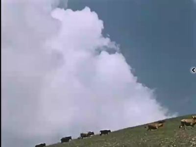 关于一朵花的歌剧照的剧照