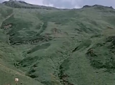 关于一朵花的歌剧照的剧照