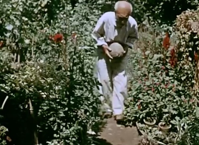 关于一朵花的歌剧照的剧照