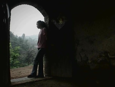 一只花奶牛剧照的剧照