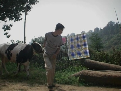 一只花奶牛剧照的剧照