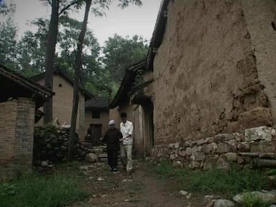 一只花奶牛剧照的剧照