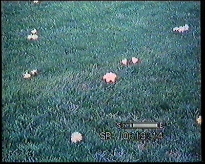 小品集剧照的剧照