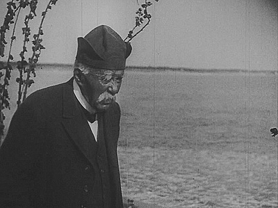 文森特·梵高的激情生活剧照的剧照