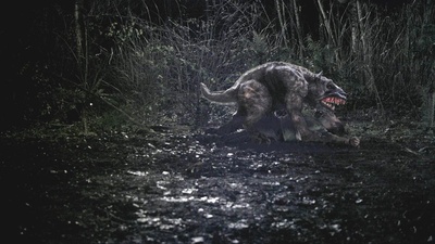 塔斯马尼亚恶魔剧照的剧照