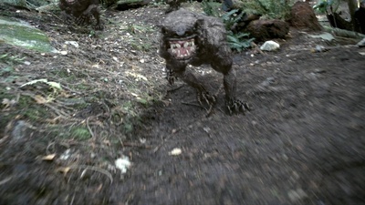 塔斯马尼亚恶魔剧照的剧照