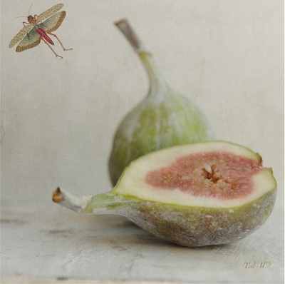 时光的旅行剧照的剧照