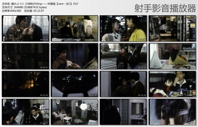 像猫一样的生活剧照的剧照