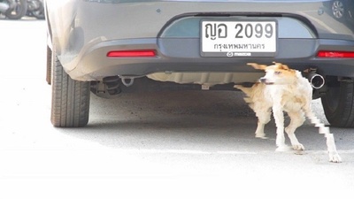 16 X 9：曼谷时空胶囊剧照的剧照