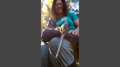 大鸟剧照的剧照