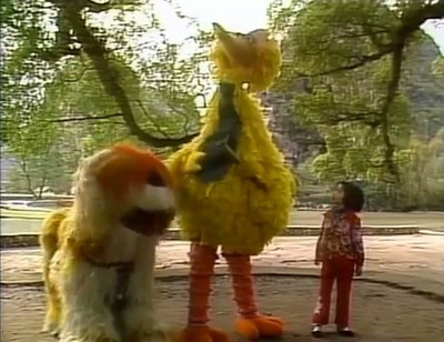 大鸟在中国剧照的剧照