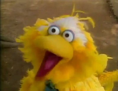 大鸟在中国剧照的剧照