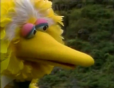 大鸟在中国剧照的剧照