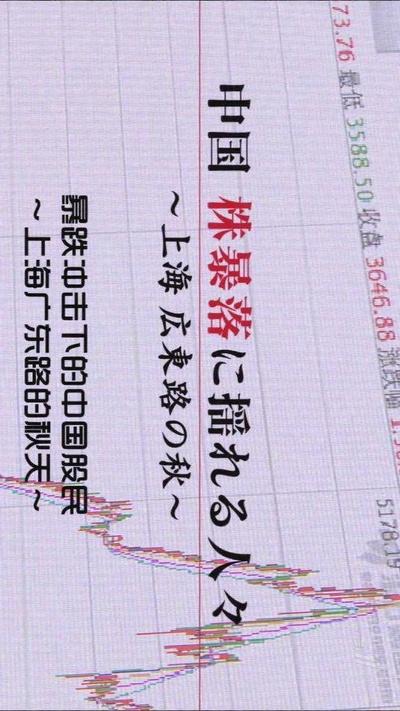 暴跌冲击下的中国股民 ~上海广东路的秋天~剧照的剧照