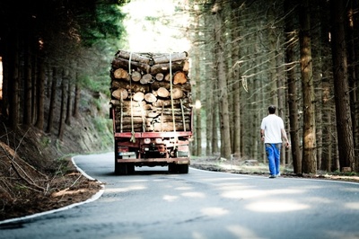 业主剧照的剧照