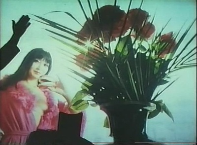 蝶服记剧照的剧照