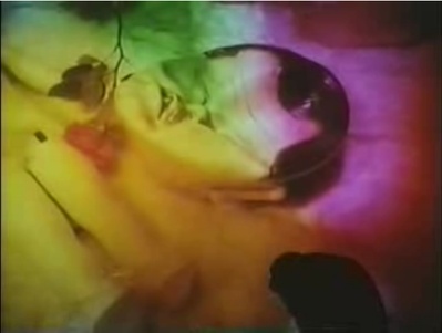 蝶服记剧照的剧照