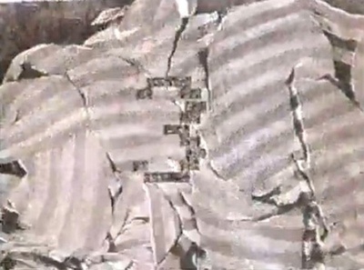 学院变体立达剧照的剧照