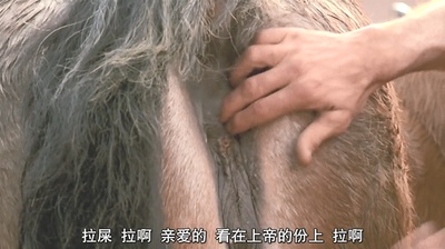 一九零零剧照的剧照