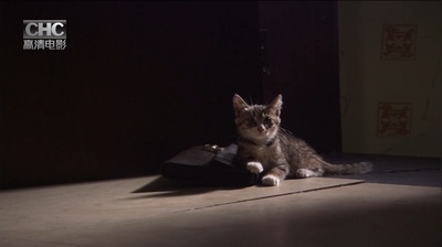 我是张飞我怕谁剧照的剧照