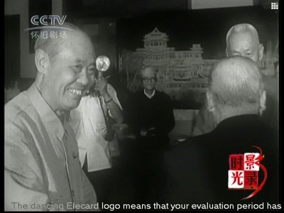 李宗仁先生从海外归来剧照的剧照