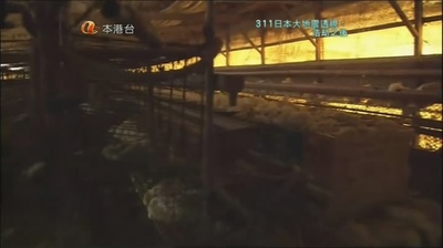 福岛核电站事故两个月后：绘制核污染地图剧照的剧照