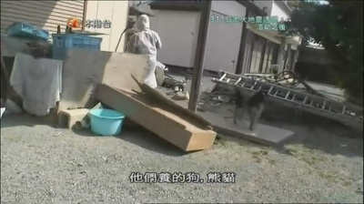 福岛核电站事故两个月后：绘制核污染地图剧照的剧照