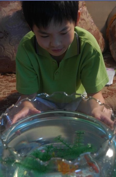 乌龟也上网剧照的剧照